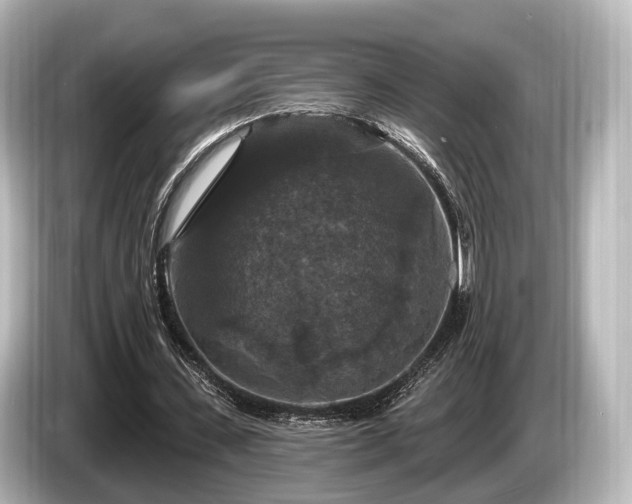 X0000085300531200703161435