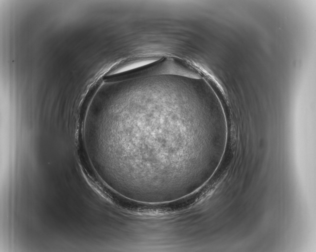 X0000085300533200703161435