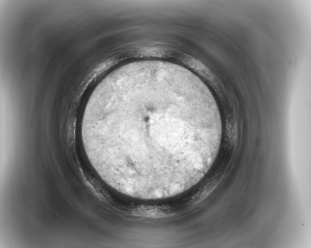 X0000085300534200703161435