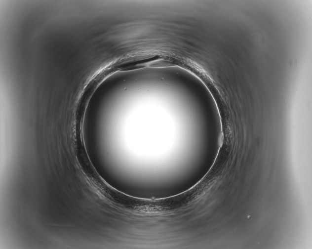 X0000085300535200703161435