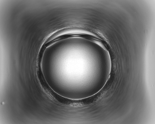 X0000085300536200703161435