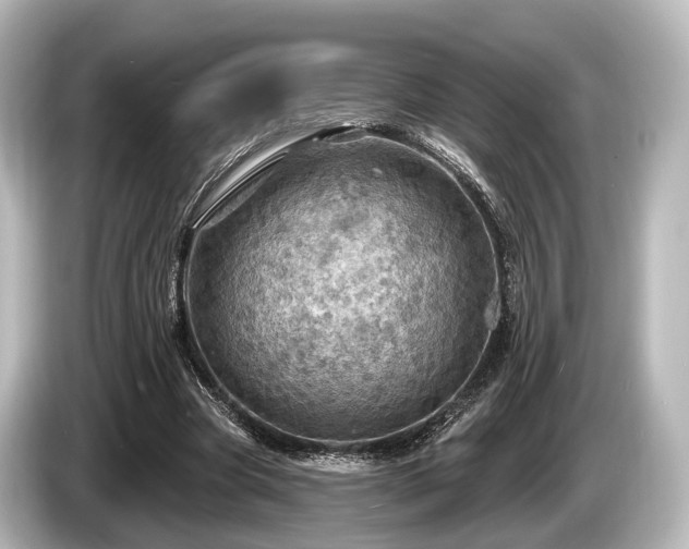 X0000085300537200703161435