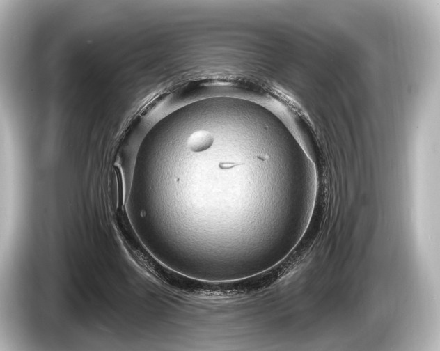 X0000085300538200703161435