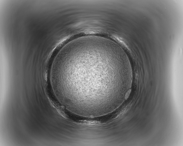 X0000085300539200703161435