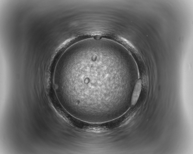 X0000085300540200703161435