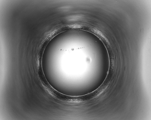 X0000085300541200703161435