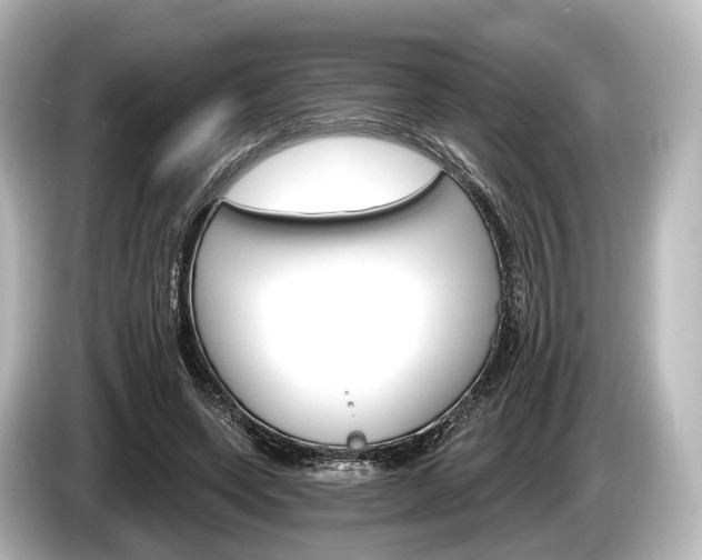 X0000085300543200703161435