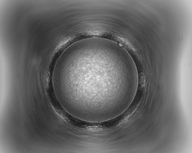 X0000085300544200703161435