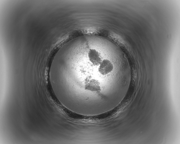 X0000085300545200703161435