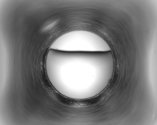 X0000085300547200703161435