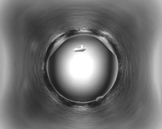 X0000085300548200703161435