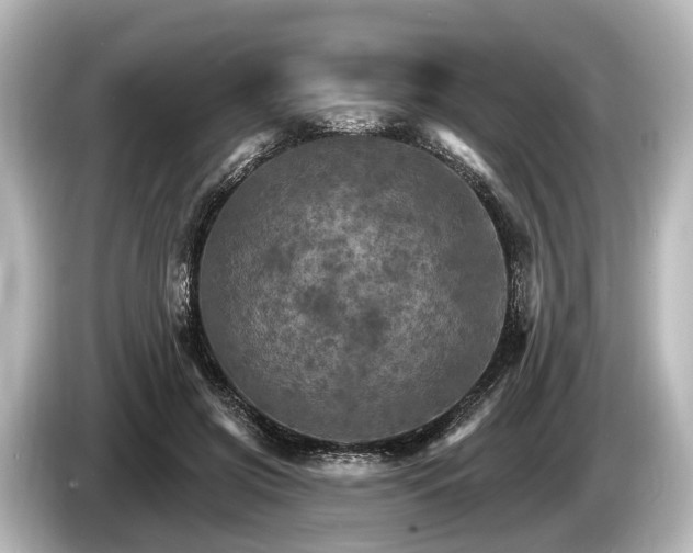 X0000085300549200703161435