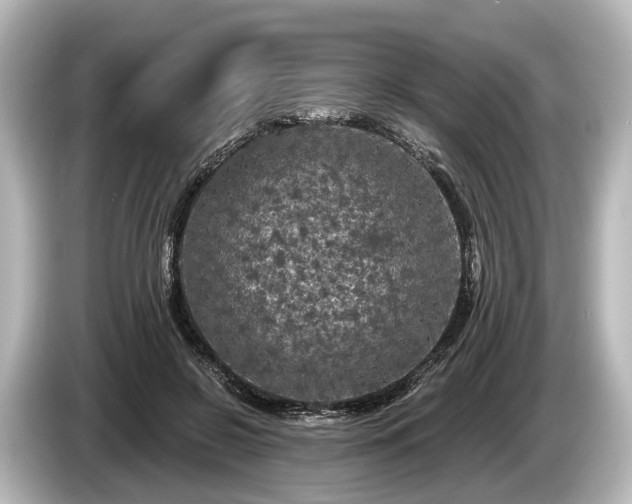 X0000085300550200703161436