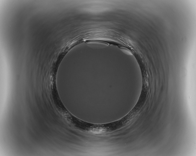 X0000085300551200703161436