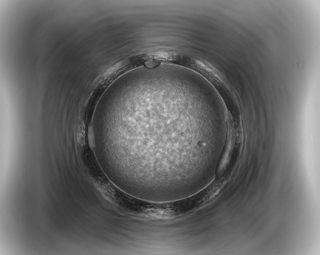 X0000085300552200703161436