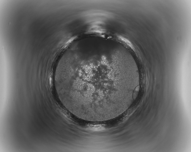 X0000085300553200703161436