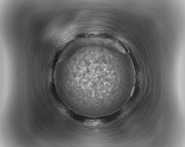 X0000085300554200703161436