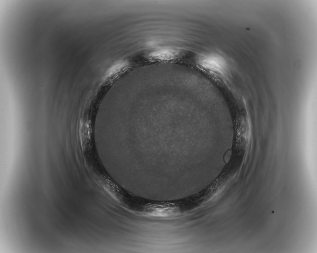 X0000085300555200703161436