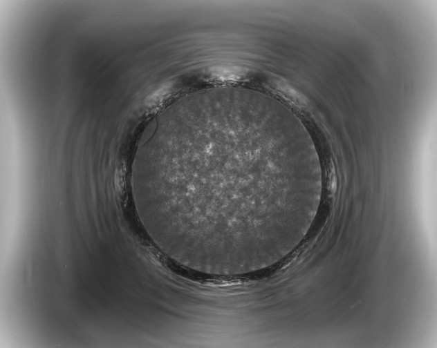 X0000085300559200703161436