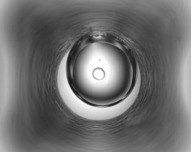 X0000085300560200703161436