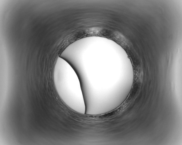 X0000085300561200703161436