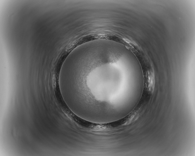 X0000085300562200703161436