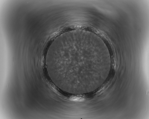 X0000085300563200703161436