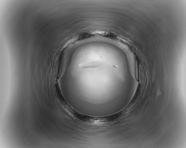 X0000085300564200703161436