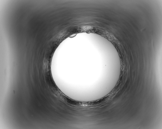 X0000085300565200703161436