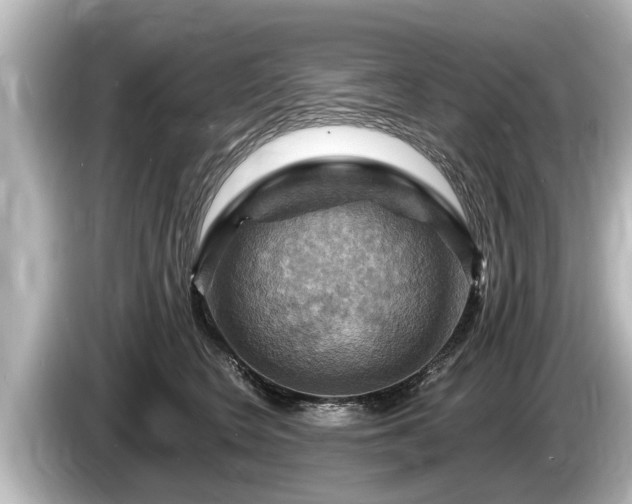 X0000085300566200703161436