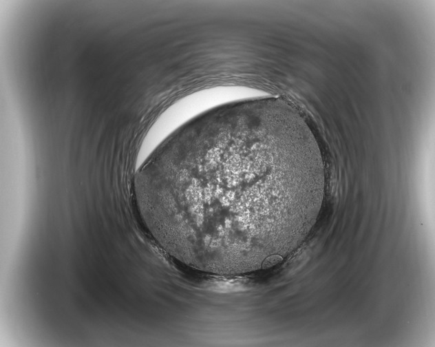 X0000085300569200703161436