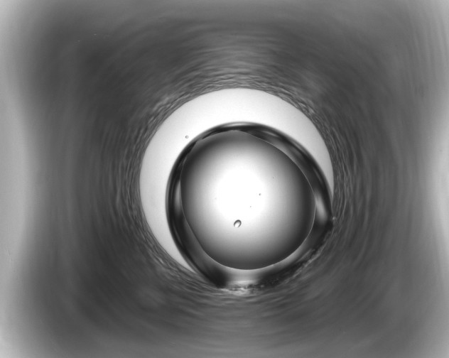 X0000085300570200703161436