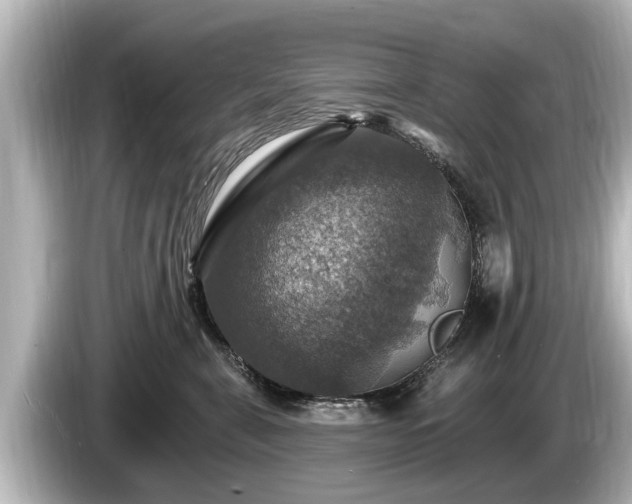 X0000085300571200703161436