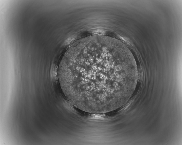 X0000085300573200703161436