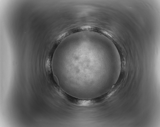 X0000085300575200703161436