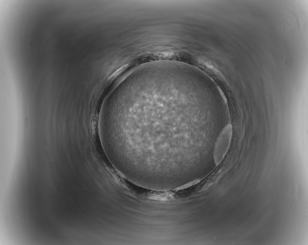 X0000085300576200703161436