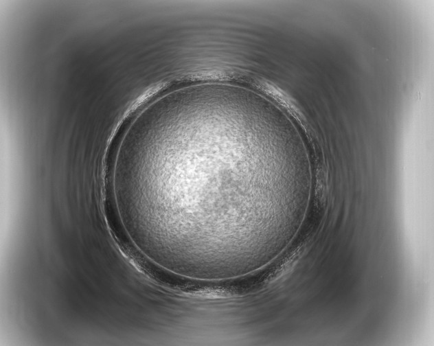 X0000085300578200703161435