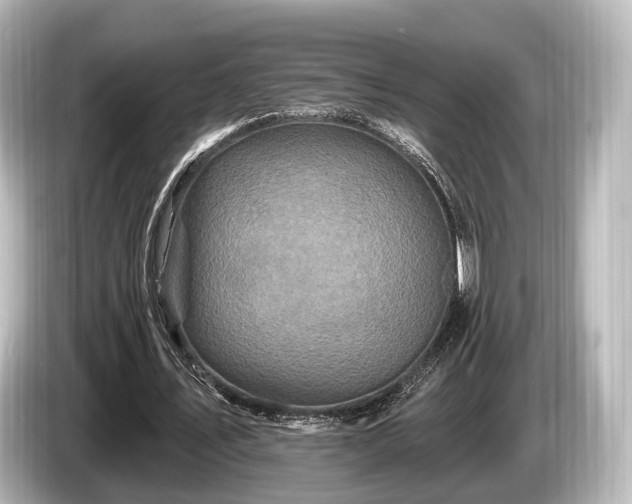 X0000085300579200703161435