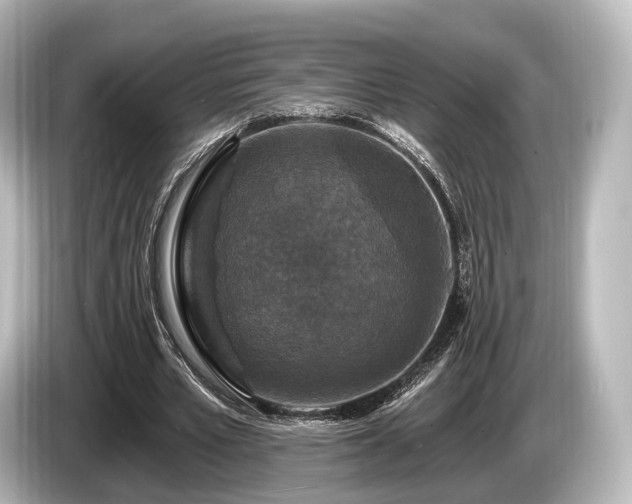 X0000085300581200703161435