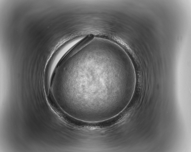 X0000085300582200703161435