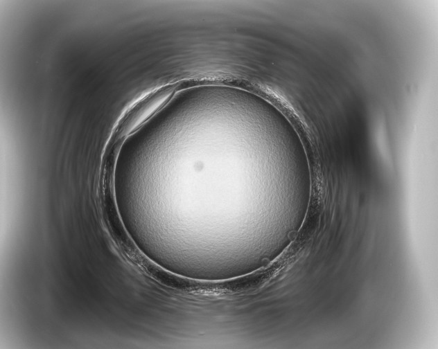 X0000085300583200703161435