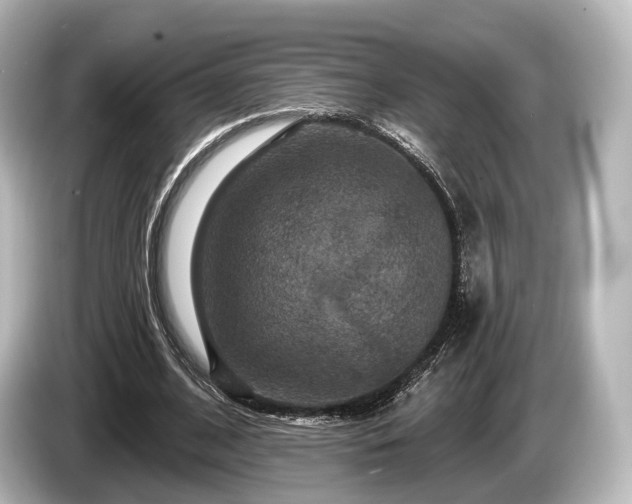 X0000085300584200703161435