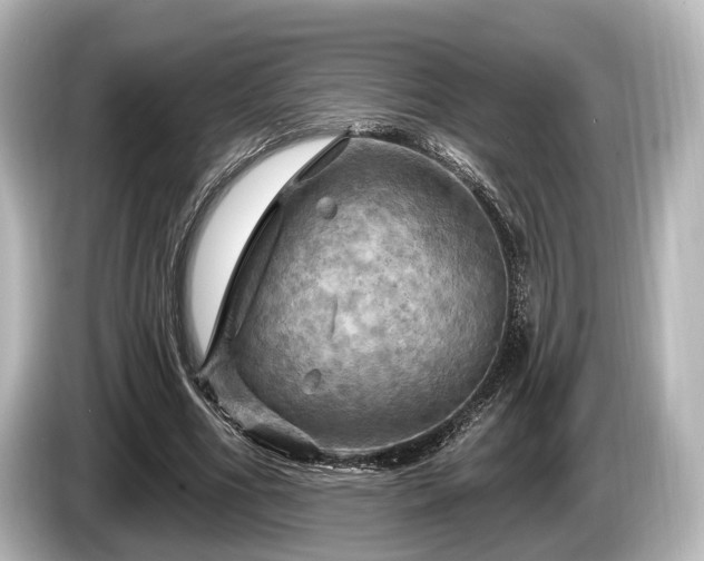 X0000085300586200703161435