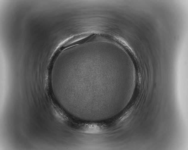 X0000085300588200703161435