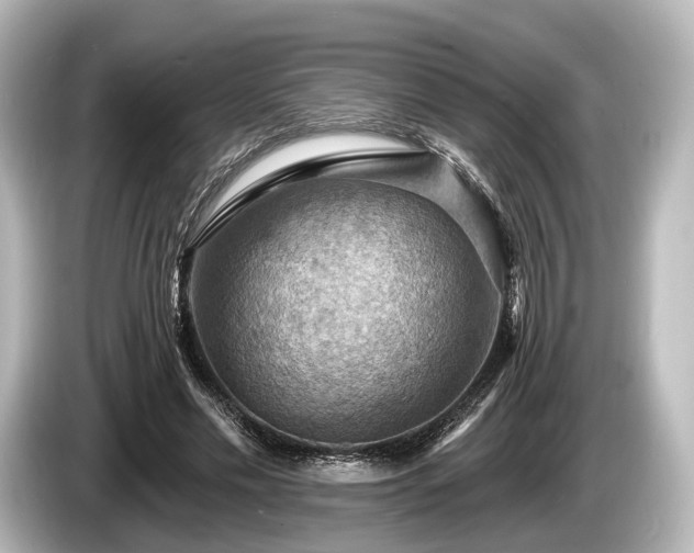 X0000085300589200703161435