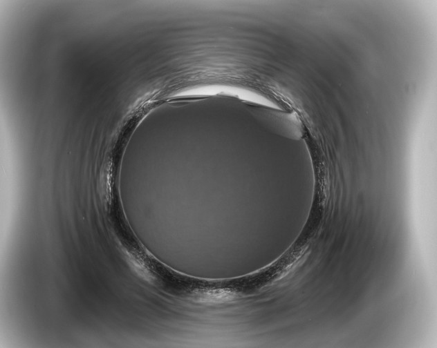 X0000085300590200703161435