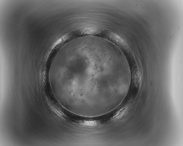 X0000085300591200703161435