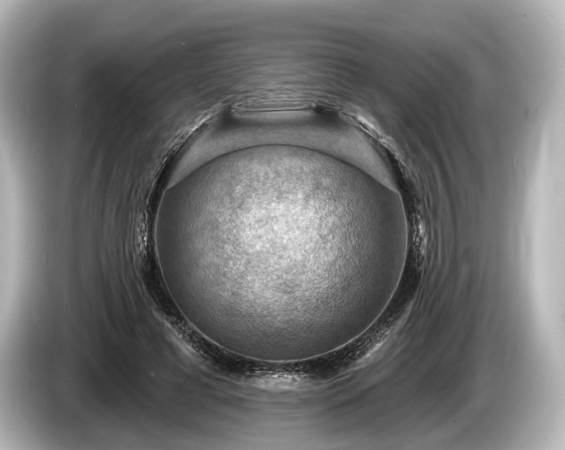 X0000085300593200703161435