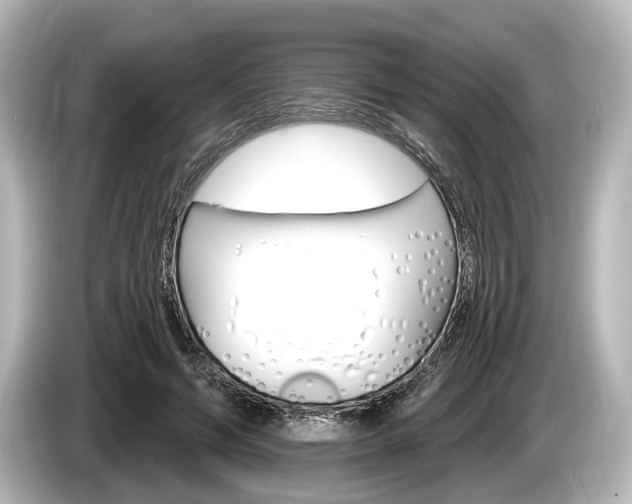 X0000085300594200703161435