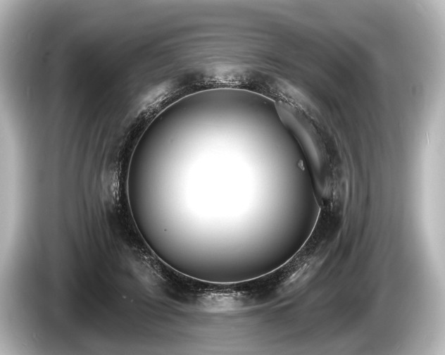 X0000085300595200703161435